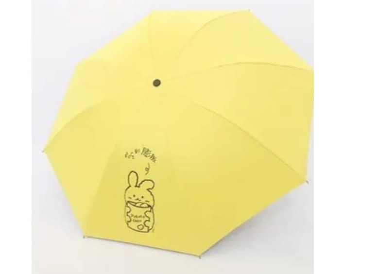 Bear umbrella