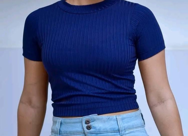 HALF SHORT SLEEVE RIBBED CROP TOP