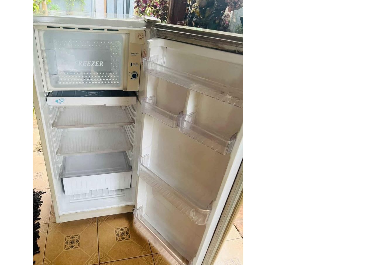 Singer refrigerator R600a ges