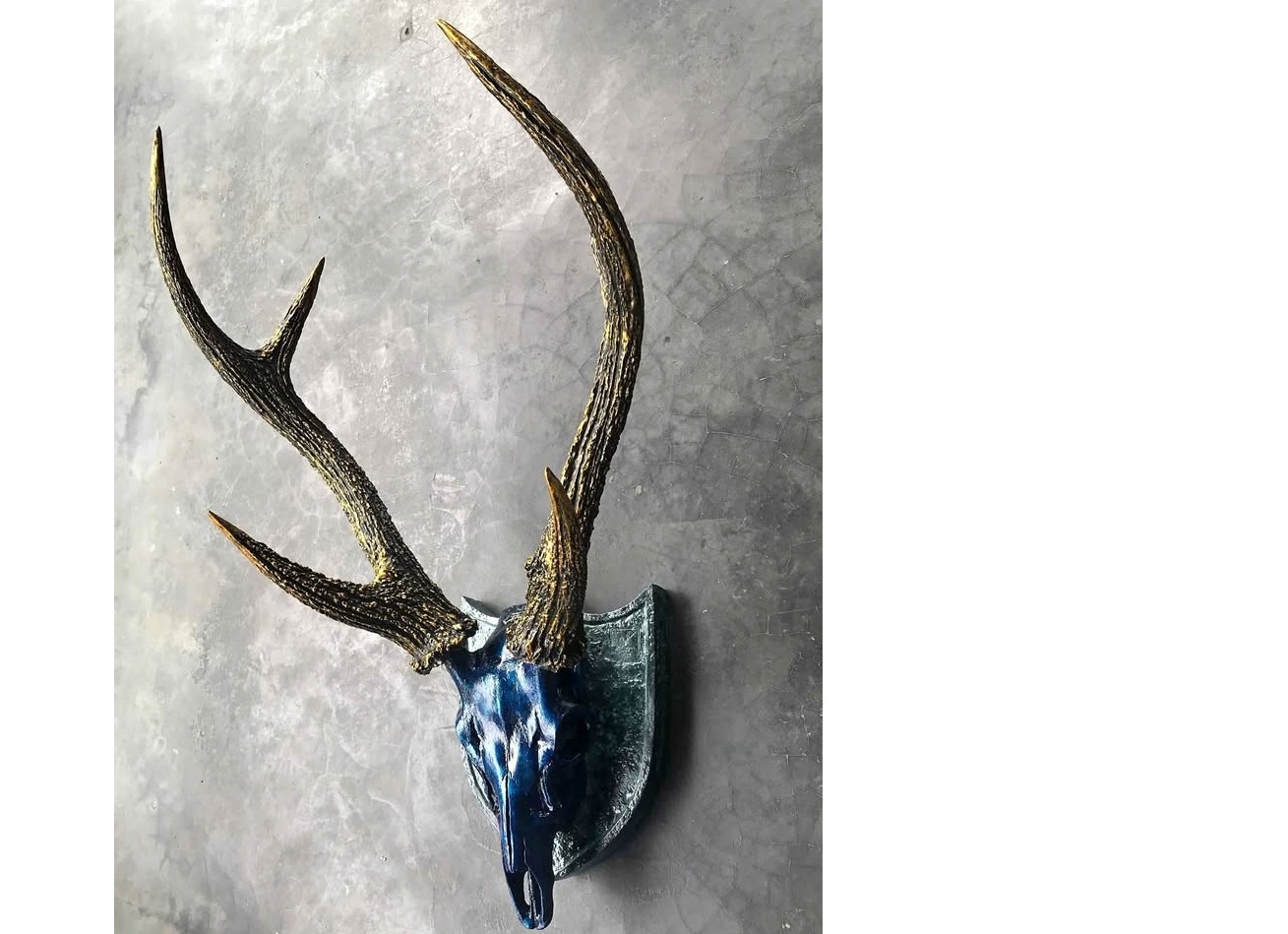 Wall decor animal head ( stag skull )