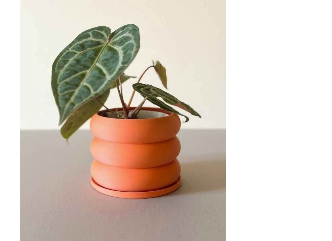 Wedding gift plant clay pots# clay pots for small plants