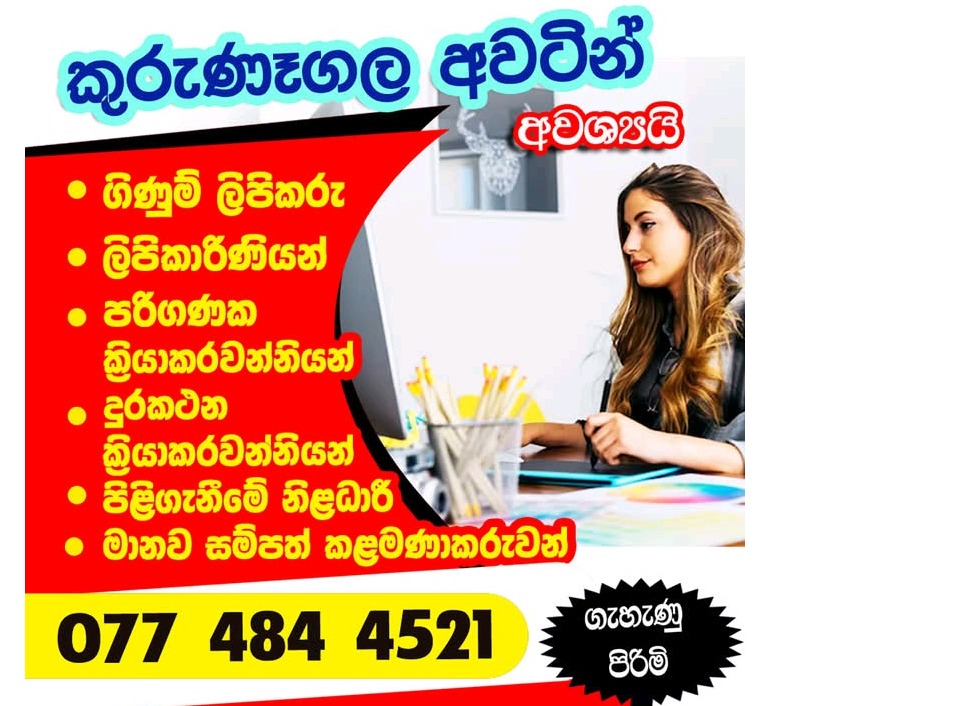 Computer assistant jobs - kurunagala
