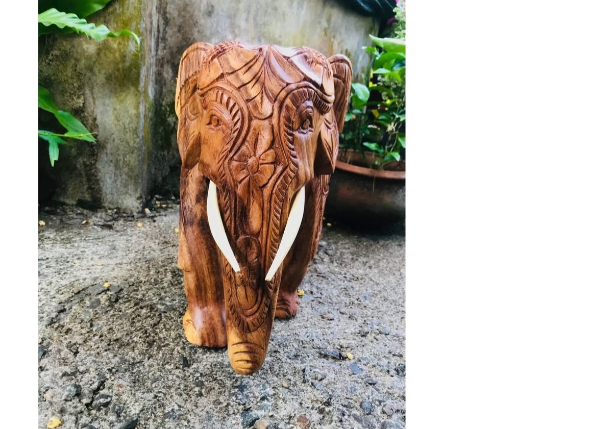 Carving ELEPHANT 🐘