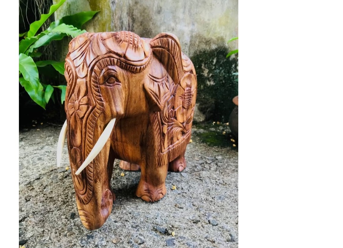 Carving ELEPHANT 🐘