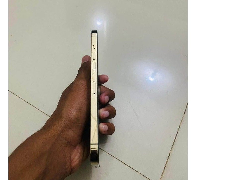 Iphone 12 promax