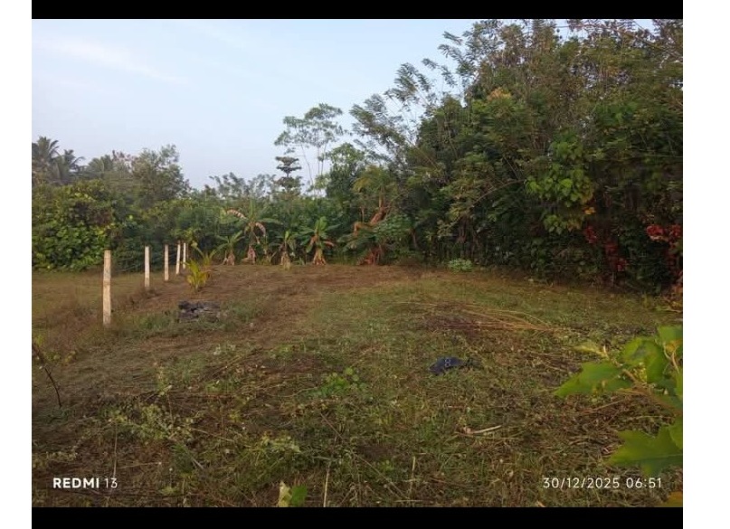 පර්චස් 15 ක අගනා ඉඩමක් විකිණීමට (ඉඩමම ලක්ෂ 27) 0779250016 මිල්ලනියවත්ත මිල්ලනිය