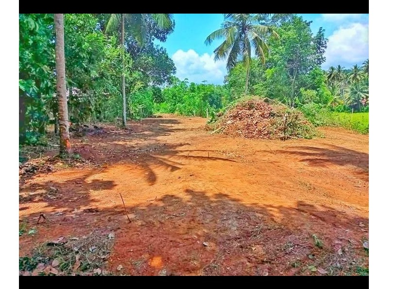 Alawwa land for sale 📍