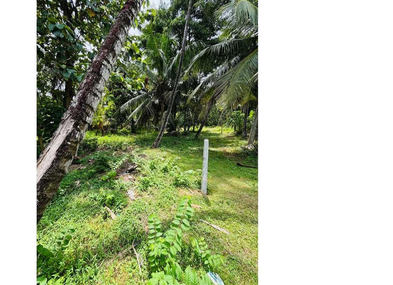 Land in Katunayaka📍