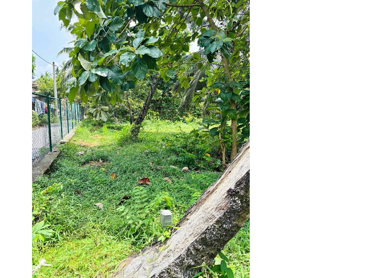 Land in Katunayaka📍