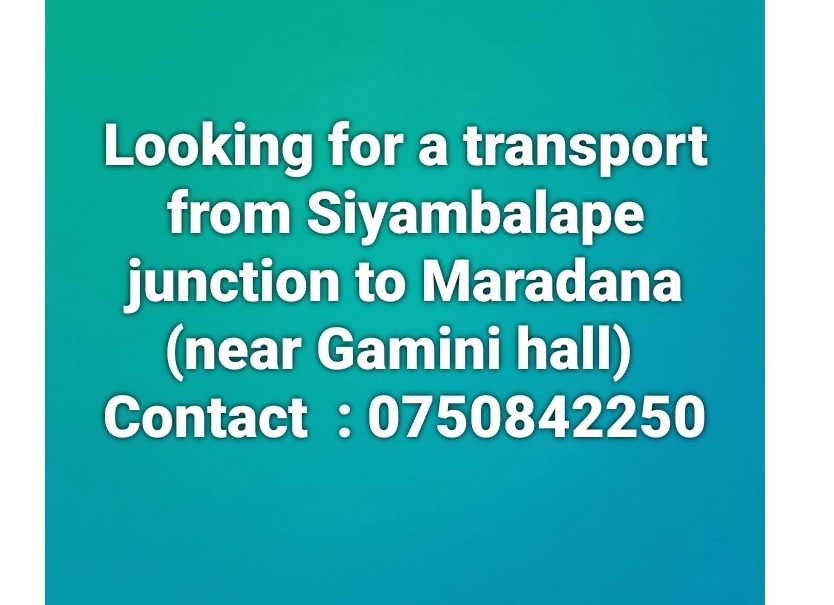 Looking for a transport 🚩