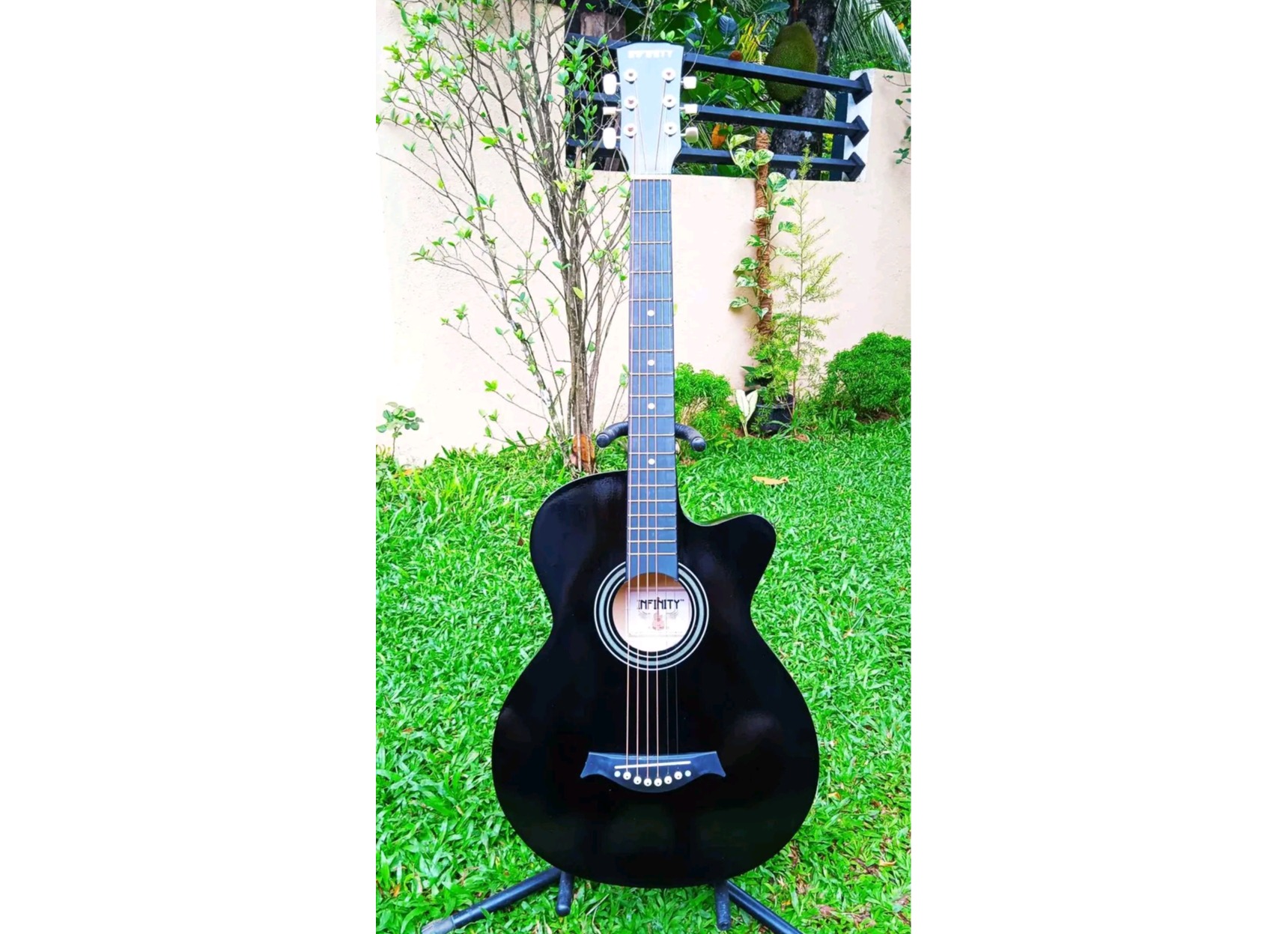 Acoustic Guitar