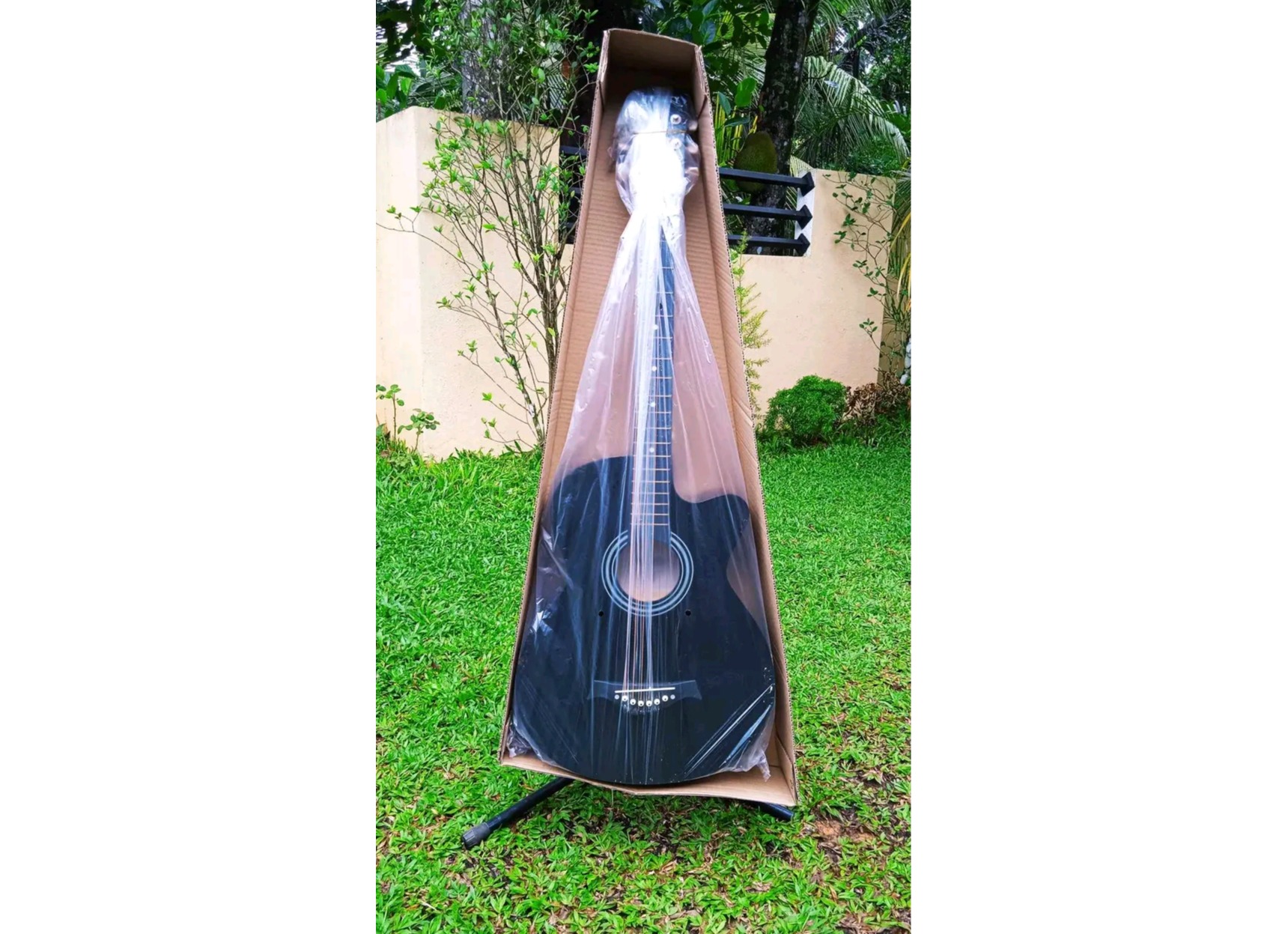 Acoustic Guitar