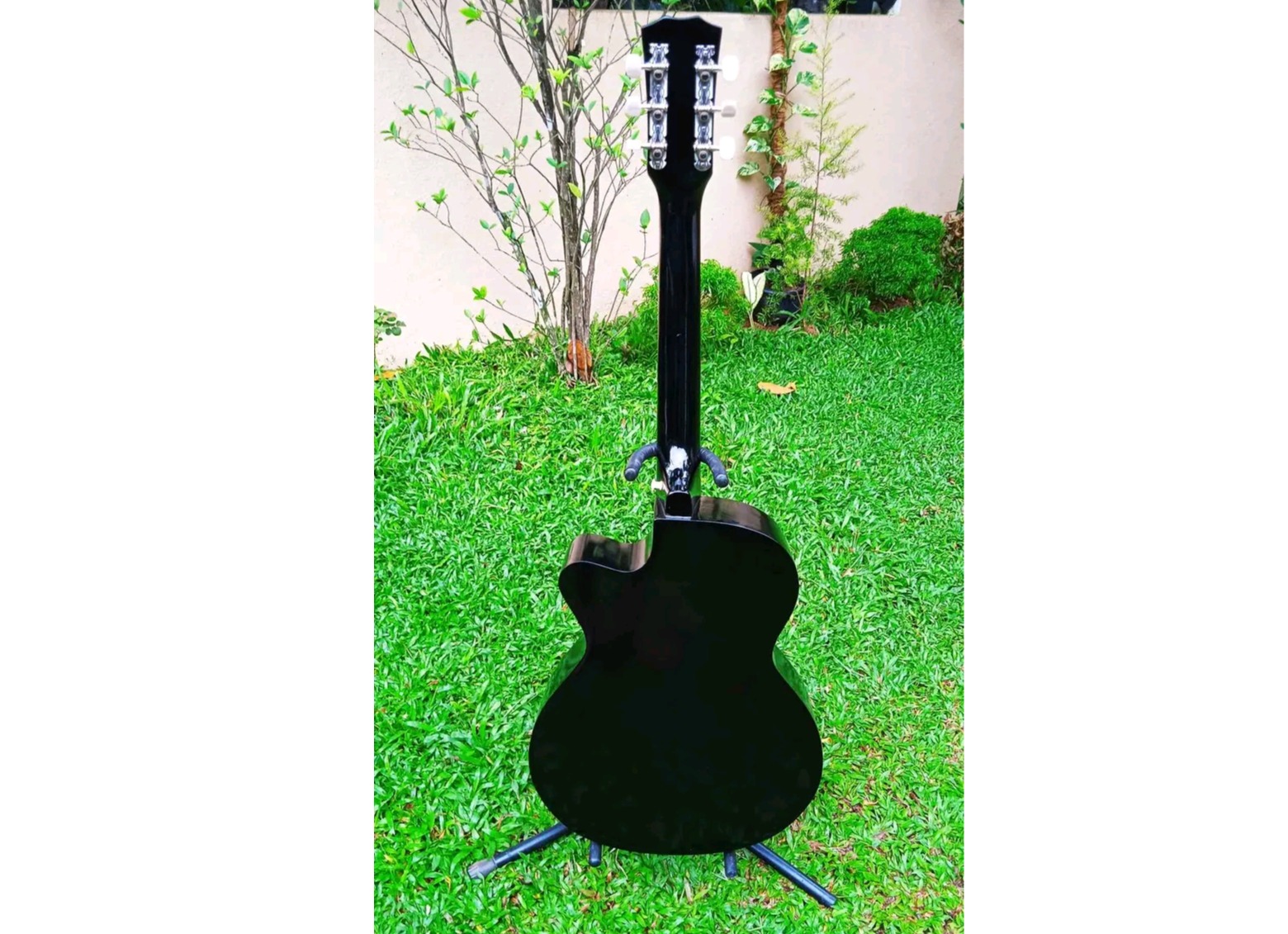 Acoustic Guitar