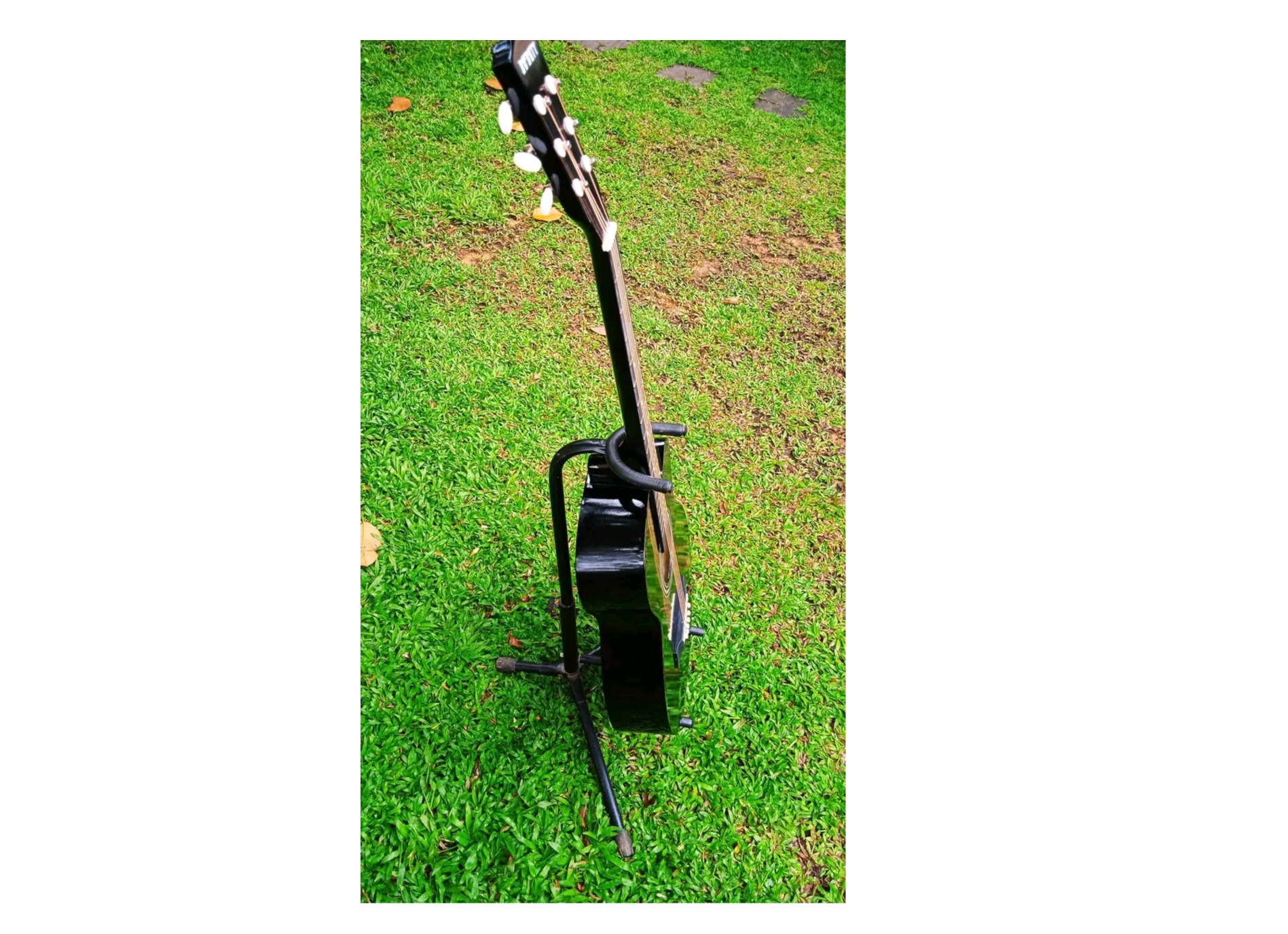 Acoustic Guitar
