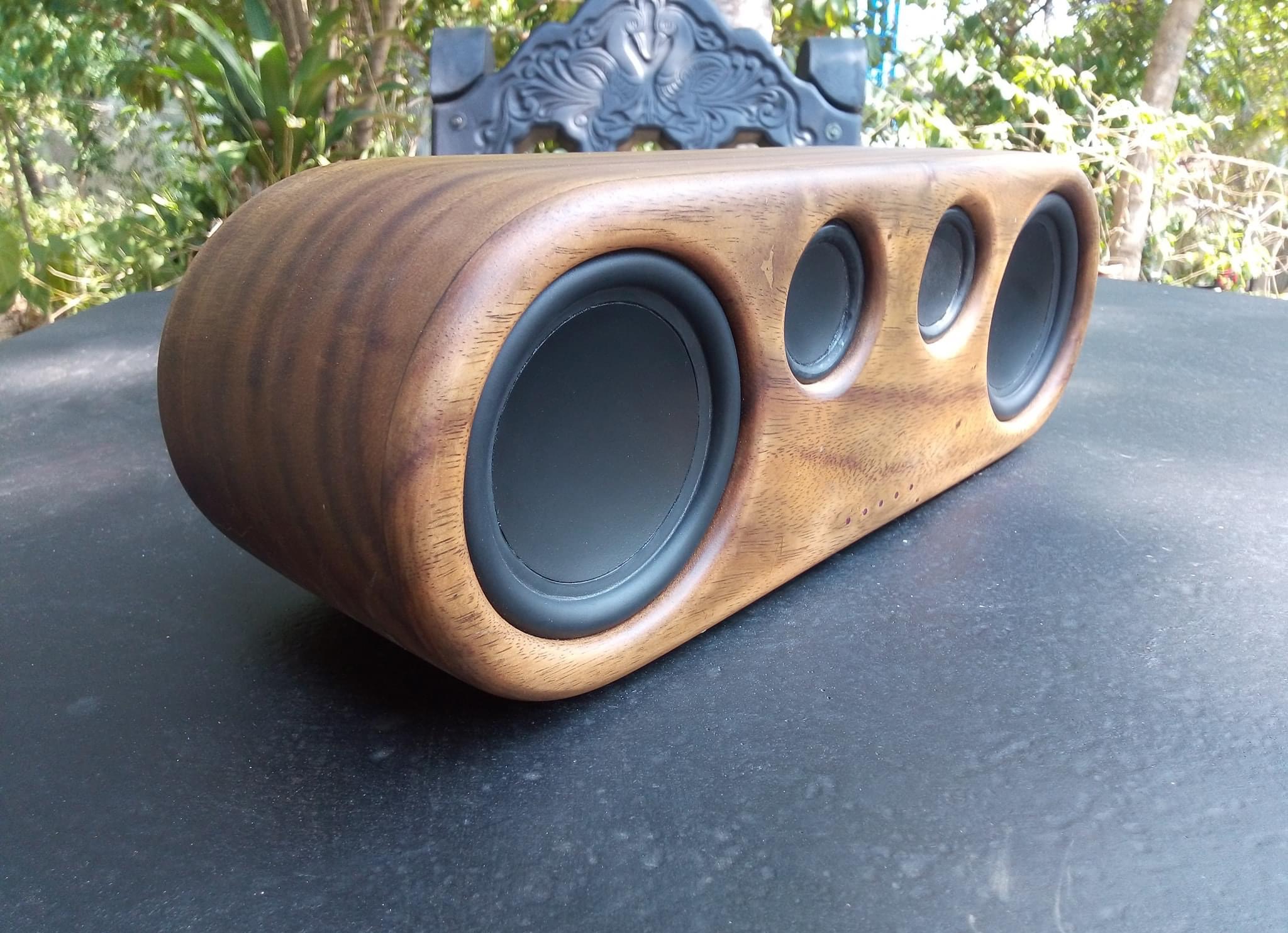 30W Subwoofer