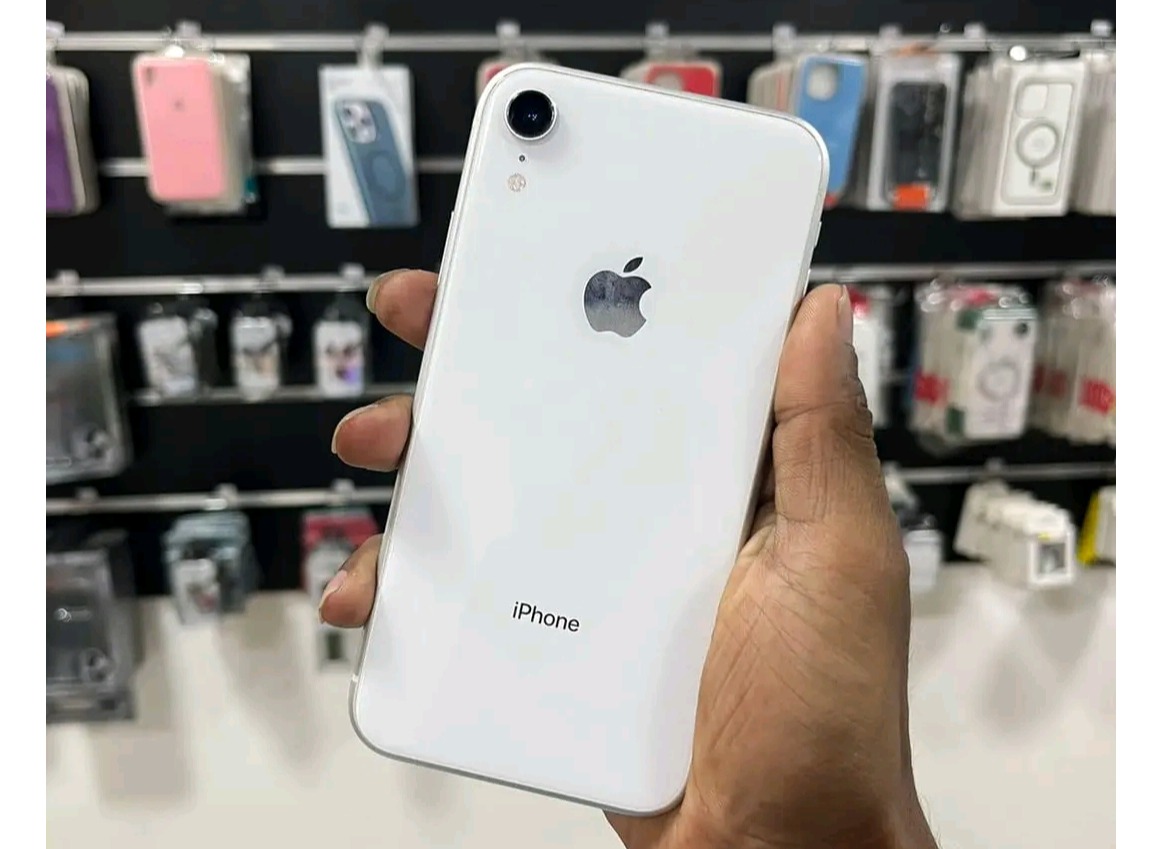 Iphone Xr (Used)