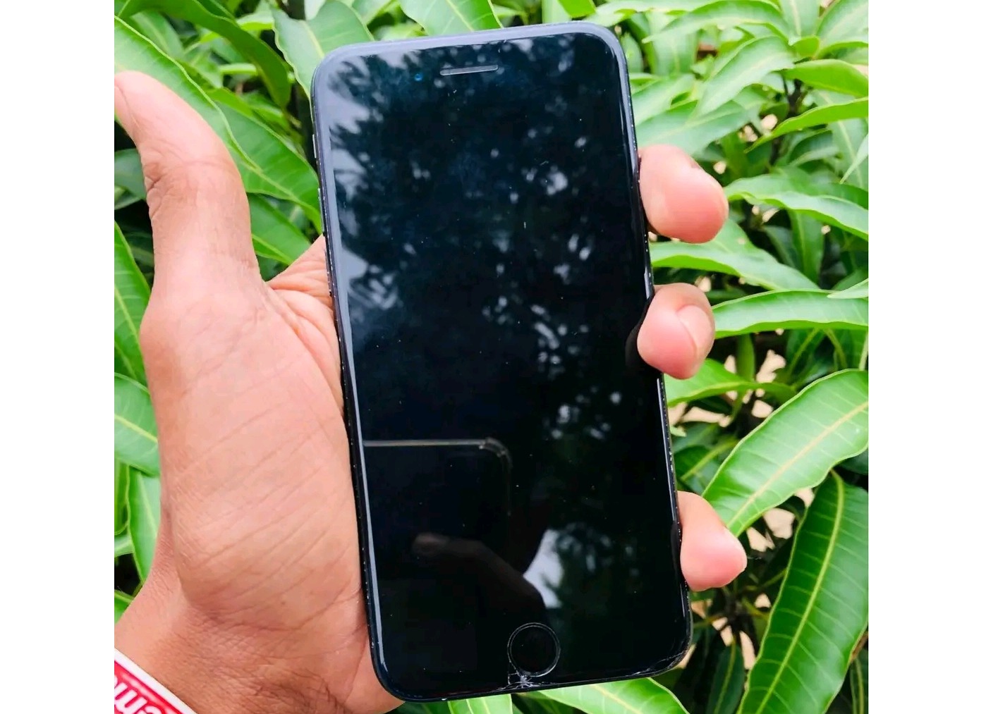 Apple iPhone 7 (Used)