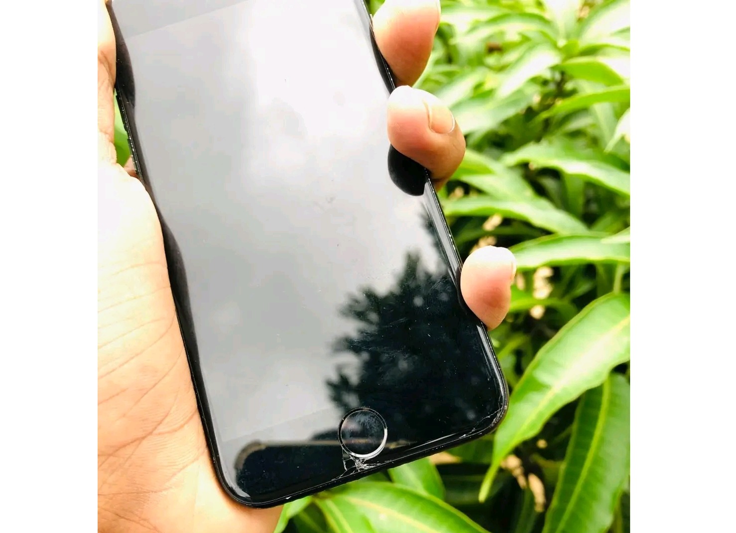 Apple iPhone 7 (Used)