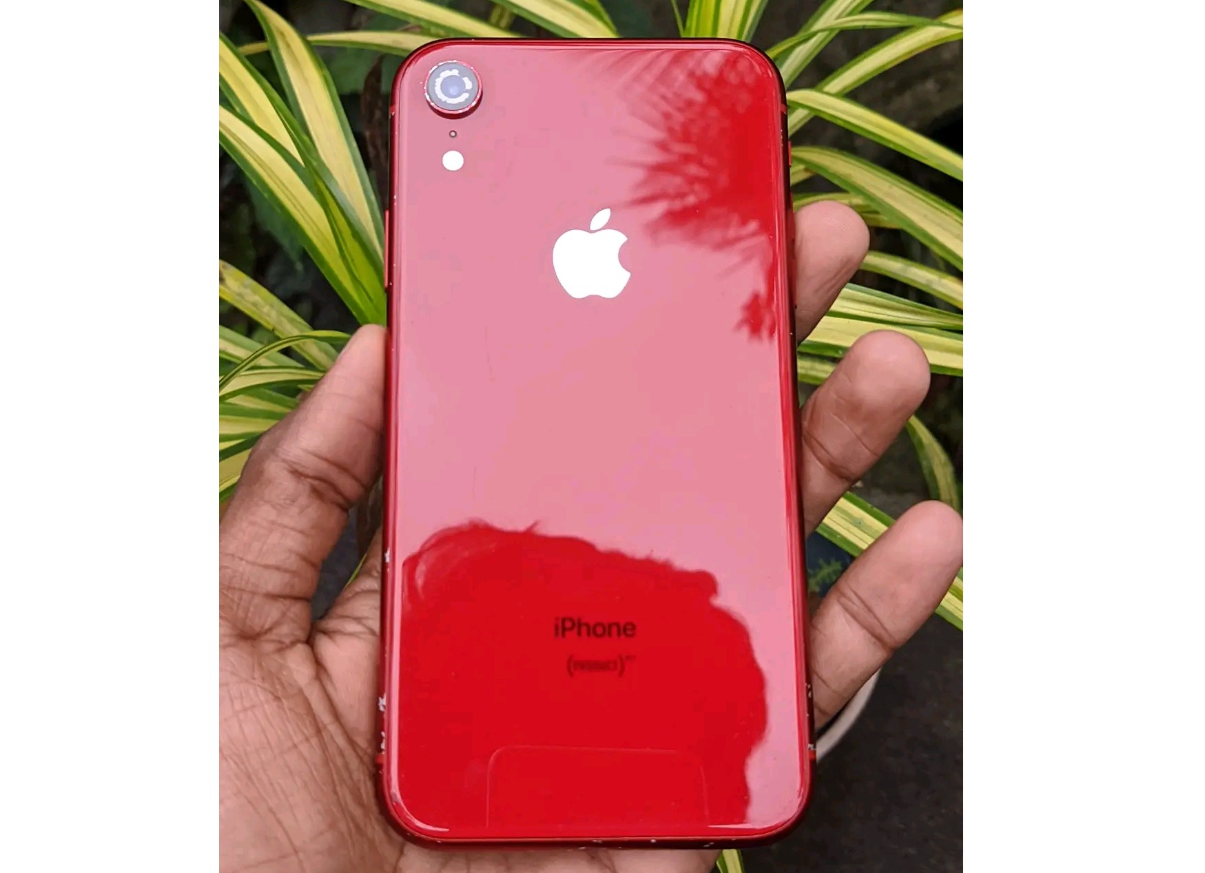 Apple iPhone XR (Used)