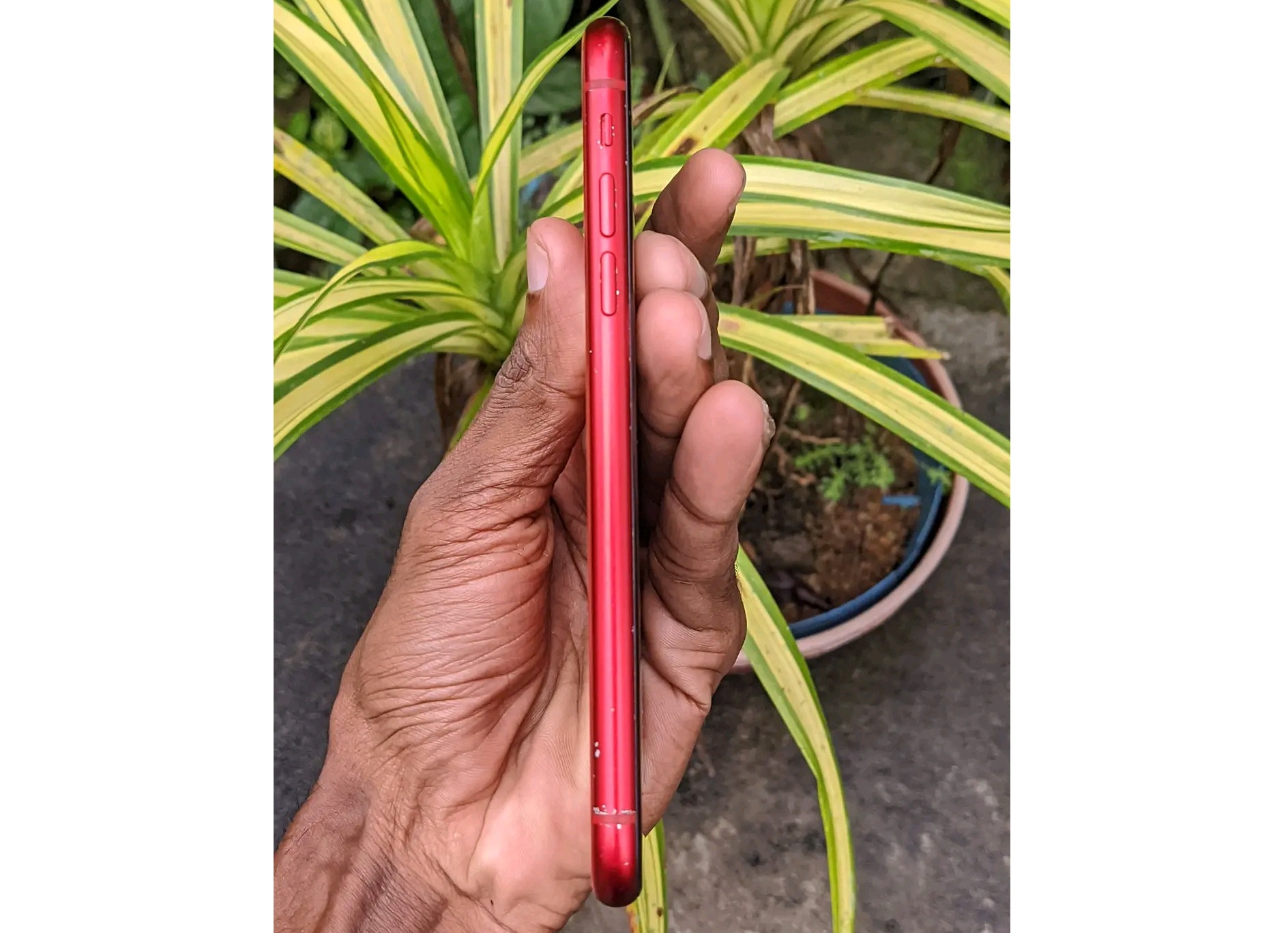 Apple iPhone XR (Used)