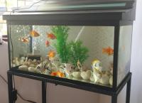 FISH TANK AND ACCESSORIES