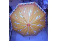 Colourfull Umbrella