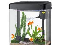 I want a fish tank