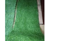 Grass carpet