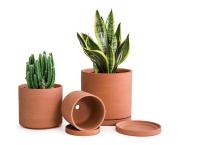 Wedding gift plant clay pots# clay pots for small plants