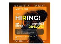 Web divoloper
