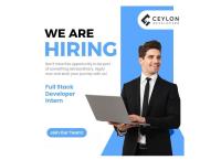 Intern developer