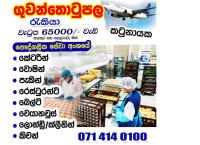ගුවන්තොටුපළ රැකියා