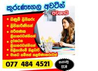 Computer assistant jobs - kurunagala