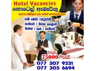 Hotel vacancies 🏨