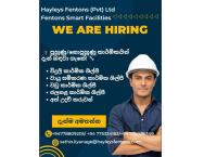 Hayleys Fenton job vacancies