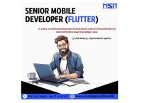 Senior mobile developer (Flutter)
