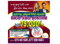 Biscuit Factory job available