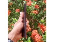 Samsung S22 Ultra 💫