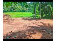 Alawwa land for sale 📍