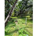 Land in Katunayaka📍