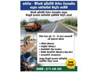 Project workers 👷