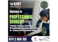 Diploma in professional cookery