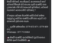 Colombo movers & Transport ✨️