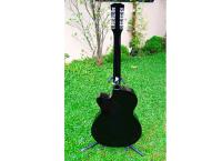 Acoustic Guitar