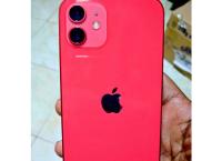 Apple 12