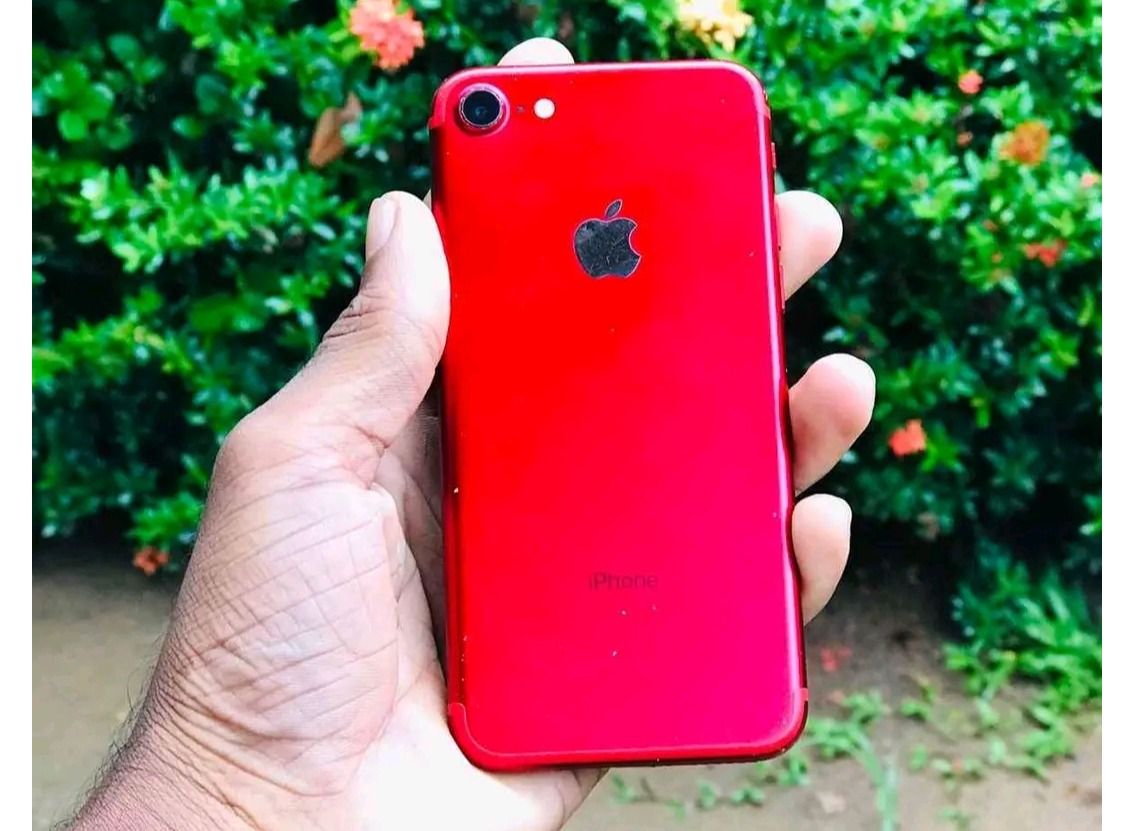 Apple iPhone 7 (Used)