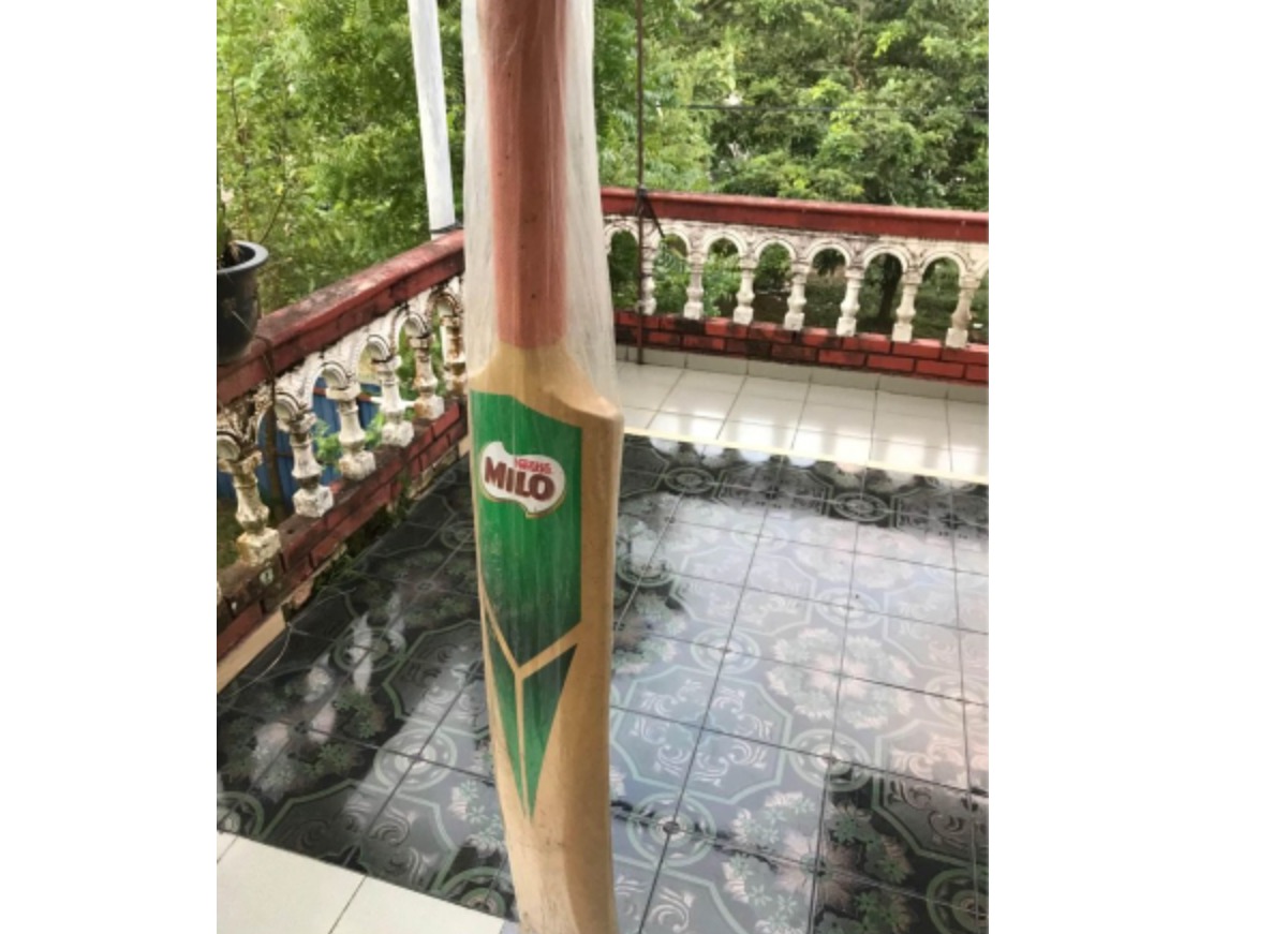 Cricket bat