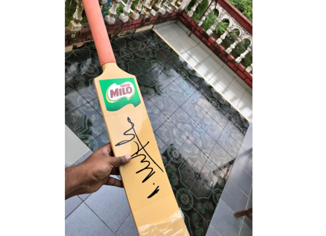 Cricket bat