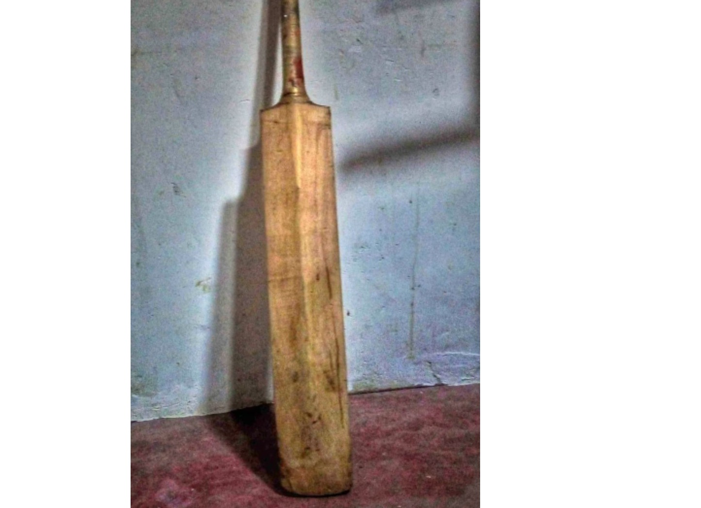 Cricket bat