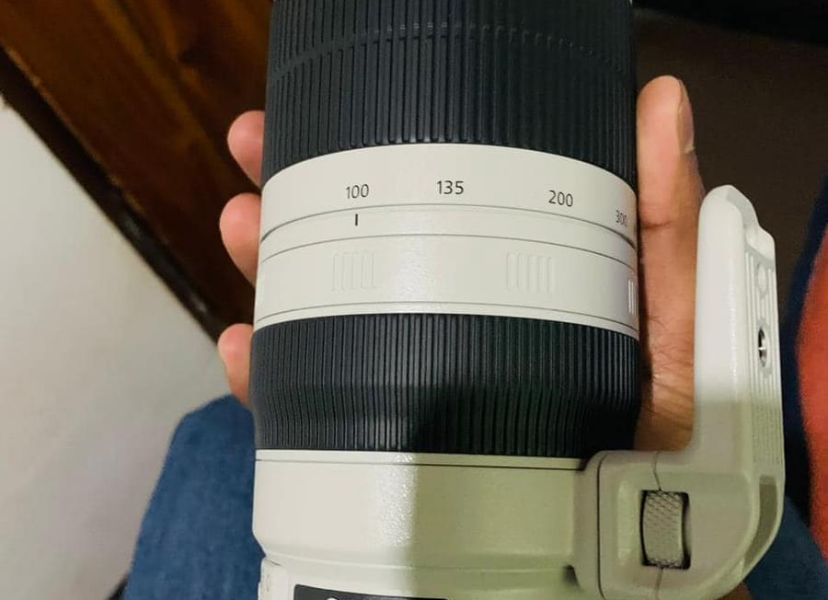 Canon 100-400mm Lens